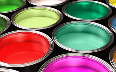 Are the Best Interior Paint Brands Worth the Money?